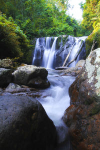 Scenic view of waterfall in forest