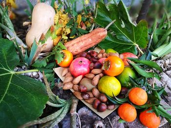 Close-up of fruits