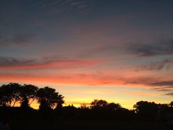 Silhouette of trees at sunset