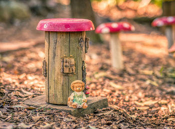 Close-up of mushroom house 