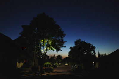 Silhouette trees by street against sky at night