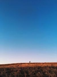 Scenic view of field against clear blue sky