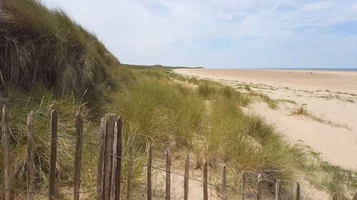 Scenic view of beach against sky