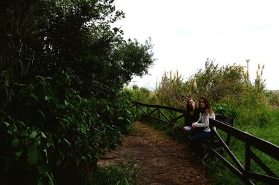 Trees in park