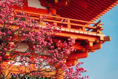 Low angle view of red flowers against building