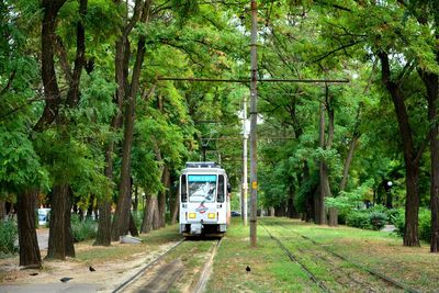 Information sign on railroad track amidst trees