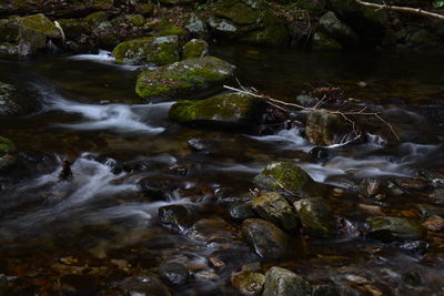 Stream flowing through rocks in forest