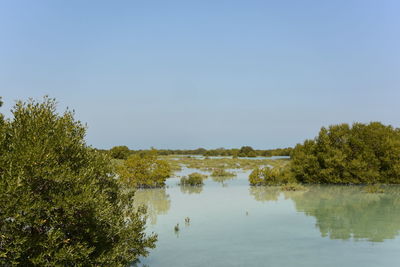 Scenic view of lake against clear sky