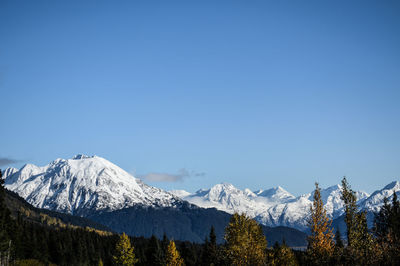 Scenic view of snowcapped mountains against clear blue sky