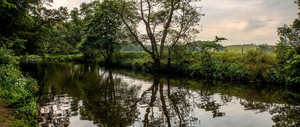 Scenic view of lake in forest against sky