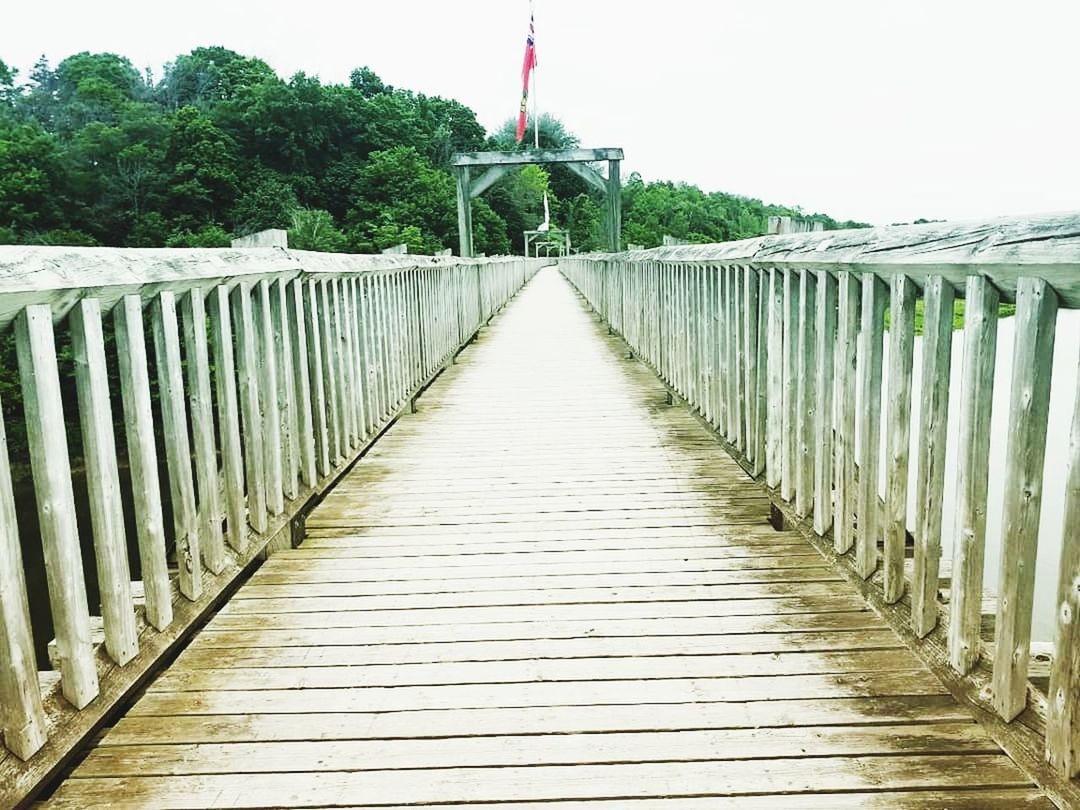 the way forward, railing, architecture, direction, built structure, bridge, day, connection, diminishing perspective, nature, no people, footbridge, wood - material, footpath, bridge - man made structure, tree, plant, sky, outdoors, transportation, wood paneling, long