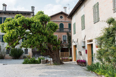 Houses by trees against sky