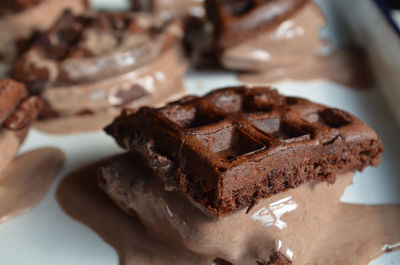 Close-up of chocolate dessert in plate