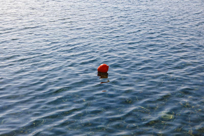 High angle view of red buoy floating on sea