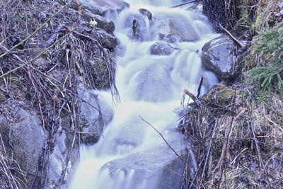 Close-up of waterfall in forest during winter