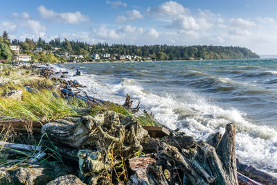 Waves roll toward shore on a windy day at normandy park, washington.