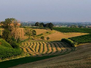Scenic view of agricultural field against sky