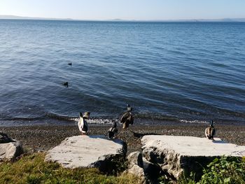 Scenic view of sea against sky