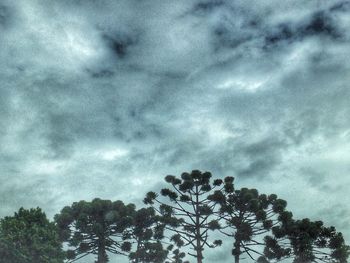 Low angle view of trees against cloudy sky