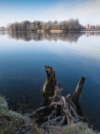 Scenic view of lake by trees against sky