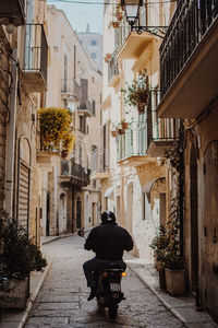 Rear view of man walking in city