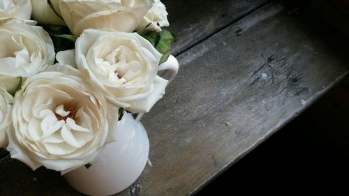 Close-up of white rose