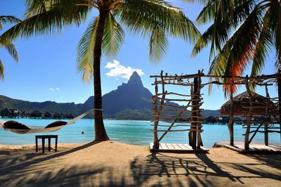 Palm trees on beach against sky