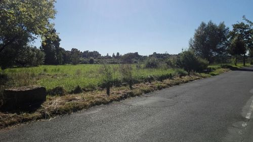 Road passing through field against clear sky