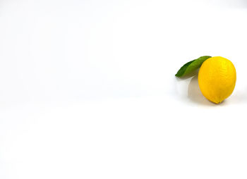 Close-up of fruits against white background
