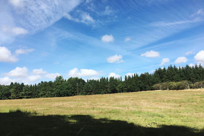 Trees on field against sky
