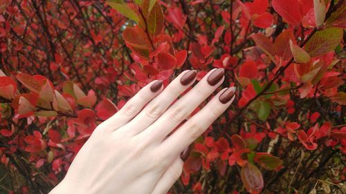 Cropped hand of woman showing nail polish against plants in park during autumn