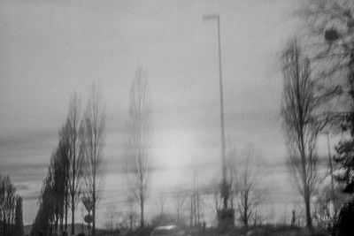 Trees on field against sky