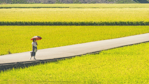 Woman with red umbrella standing in the rice fields