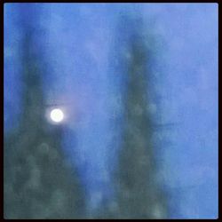 Low angle view of trees against sky