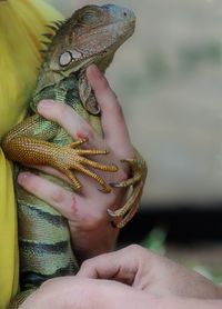 Close-up of man touching woman hand