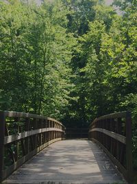 Footbridge amidst trees