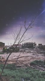 Bare trees on field against sky in city