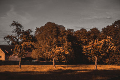 Trees on field against sky during autumn