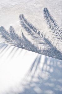 Close-up of tire tracks on snow