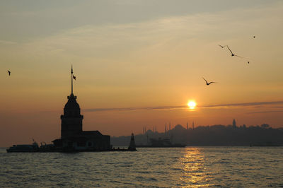 Silhouette of birds flying over sea