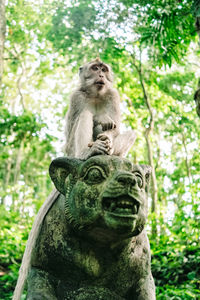 Low angle view of statue sitting on tree in forest