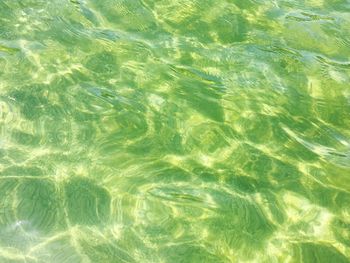 Full frame shot of swimming pool