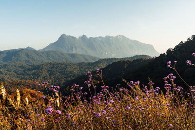 Scenic view of mountains against clear sky