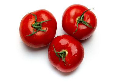 Close-up of tomatoes against white background