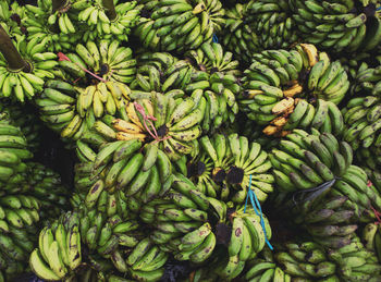 Full frame shot of fruits