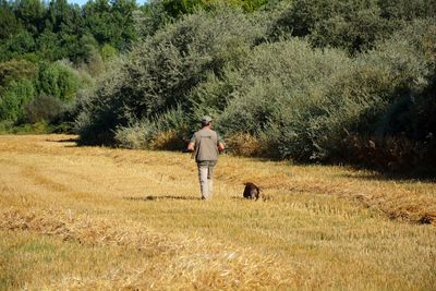 Rear view of man with dog walking in park