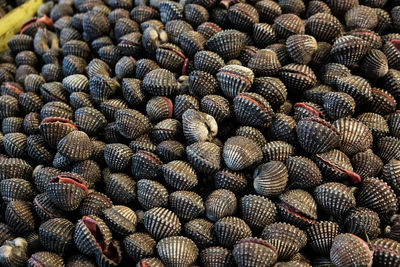 Full frame shot of roasted coffee beans