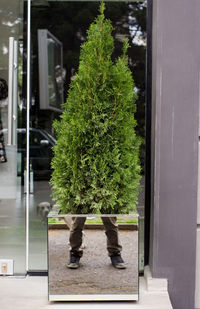 Low section of man standing by plants