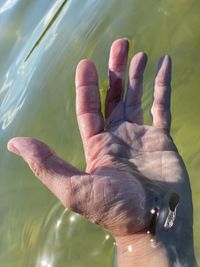 Close-up of hand on water
