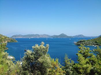 Scenic view of sea against clear blue sky